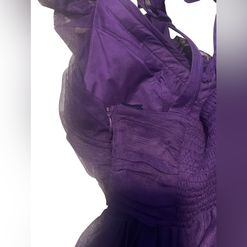 Anthropologie Ruffled Tulle‎ Mini Dress - Picture 14 of 16